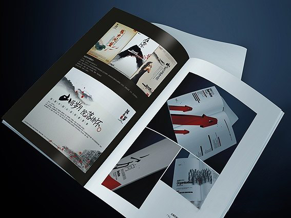 企業(yè)宣傳畫冊(cè)設(shè)計(jì)