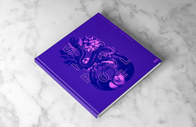 濟(jì)南莫都分享國外優(yōu)秀畫冊設(shè)計分享