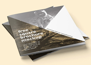 2017畫冊(cè)設(shè)計(jì)欣賞