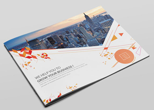 企業(yè)畫冊(cè)設(shè)計(jì)欣賞