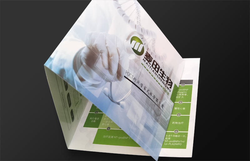 麥田生物方形三折頁設計