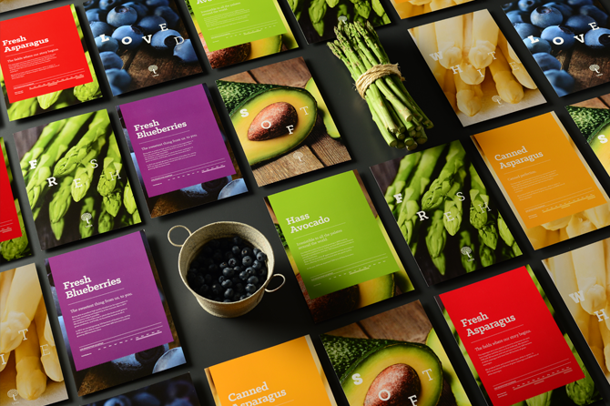 畫冊設(shè)計(jì)