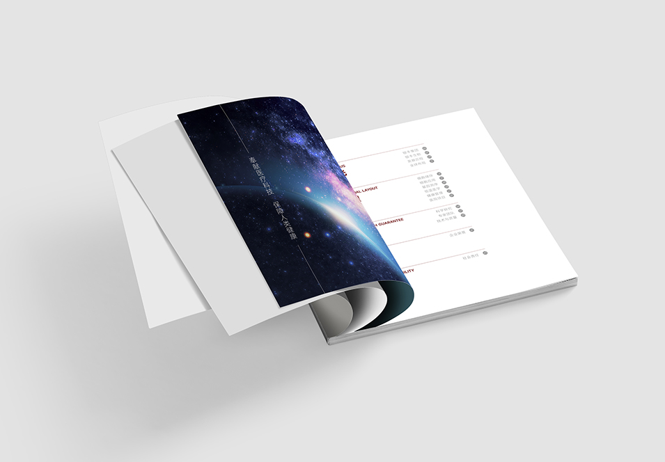 銀豐生物集團(tuán)企業(yè)畫冊設(shè)計(jì)