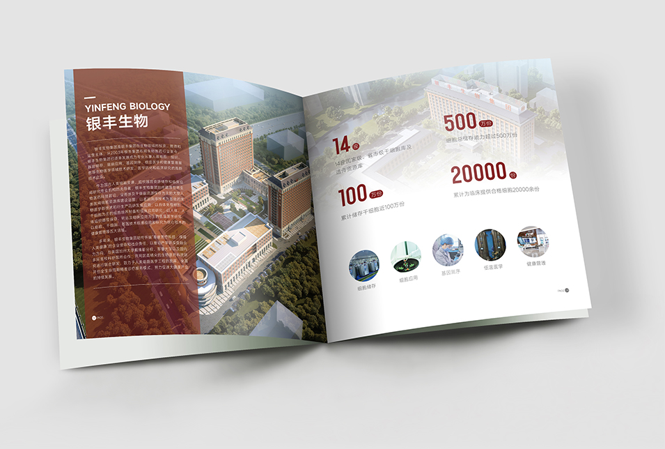 銀豐生物集團(tuán)企業(yè)畫冊設(shè)計(jì)