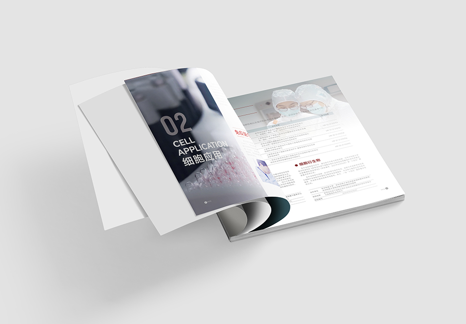銀豐生物集團(tuán)企業(yè)畫冊設(shè)計(jì)