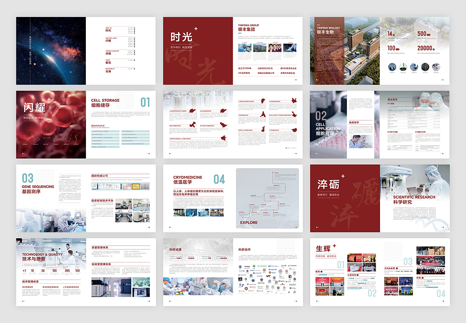 銀豐生物集團(tuán)企業(yè)畫冊設(shè)計(jì)