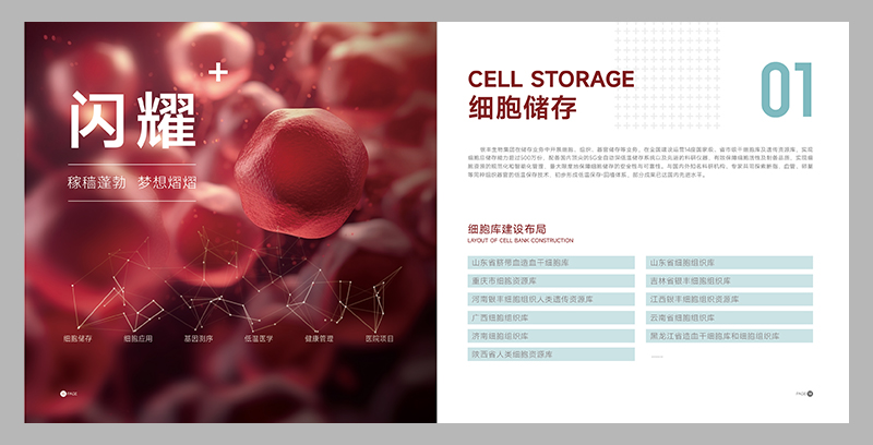 畫冊重點(diǎn)C位出道法