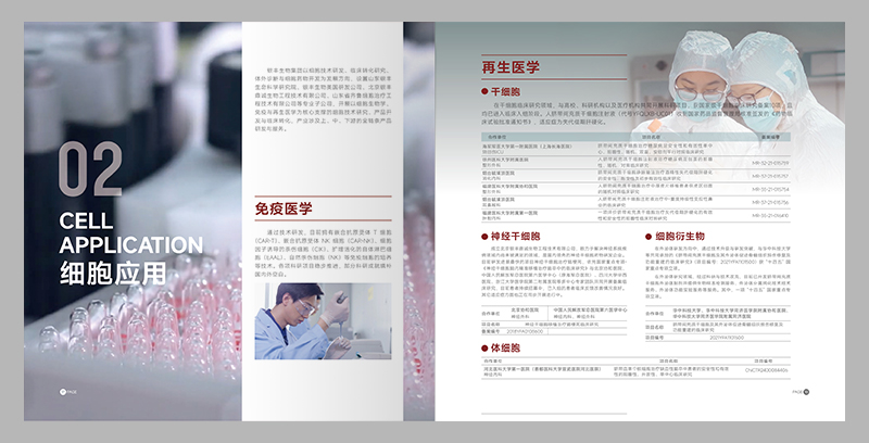 畫冊結(jié)構(gòu)視覺雙開掛