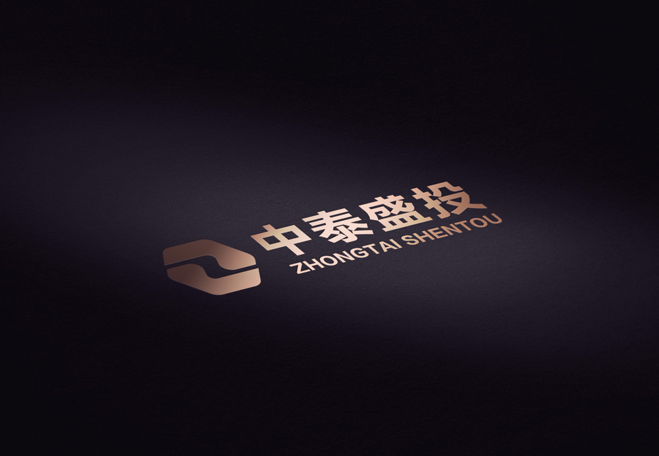 中泰盛投logo設(shè)計