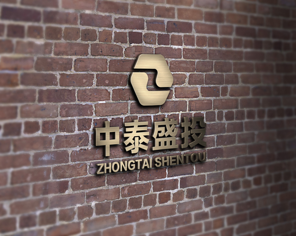 中泰盛投logo設(shè)計