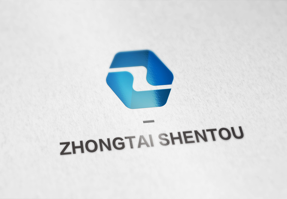 中泰盛投logo設(shè)計