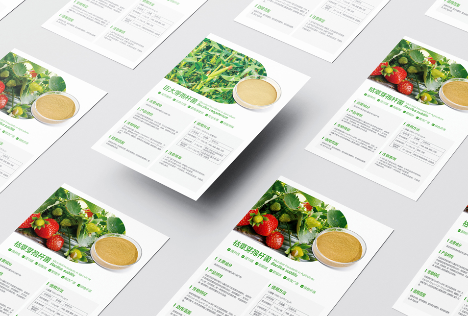 農(nóng)業(yè)畜牧業(yè)畫冊設(shè)計、封套單頁設(shè)計
